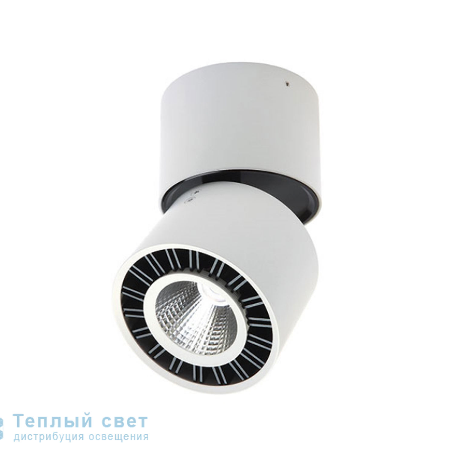 Zambelis C0085 SPOT LIGHT LED 3000K D8,5 WHITE METAL прожектор