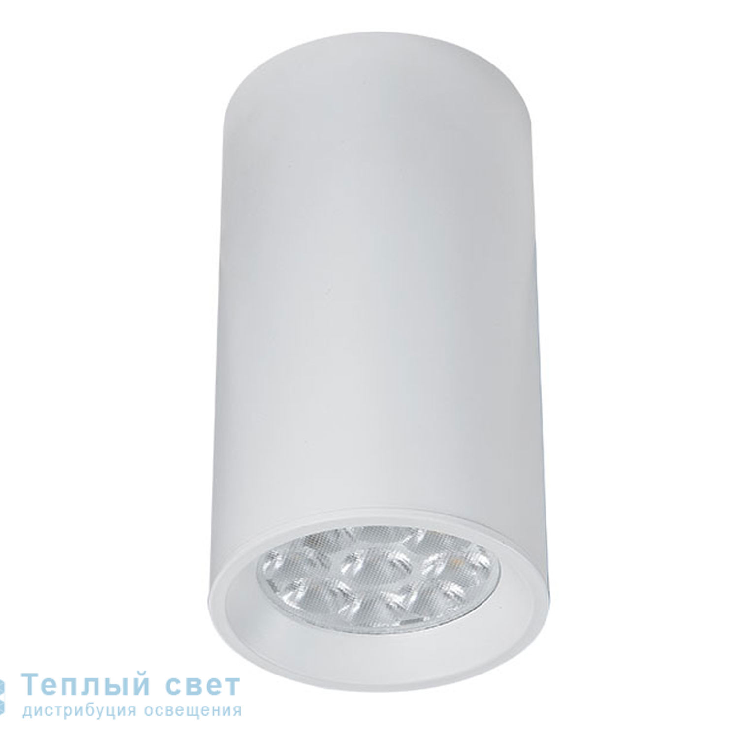 Zambelis S002 SPOT LIGHT 1L GU10(INCLUDED) D6,3 WHITE ALUMINIUM прожектор